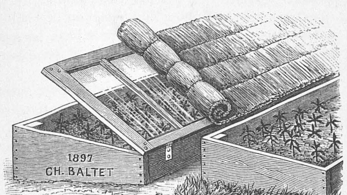 Gravure ancienne : deux châssis de bois garnis de jeunes plants, l'un au couvercle vitré entrouvert, avec un paillasson de paille à demi déroulé posé par-dessus.