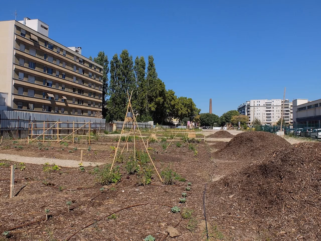 A vegetable garden in the middle of a city (Villeurbanne): growing beds, bean tepees and heaps of mulch, with apartment blocks behind.